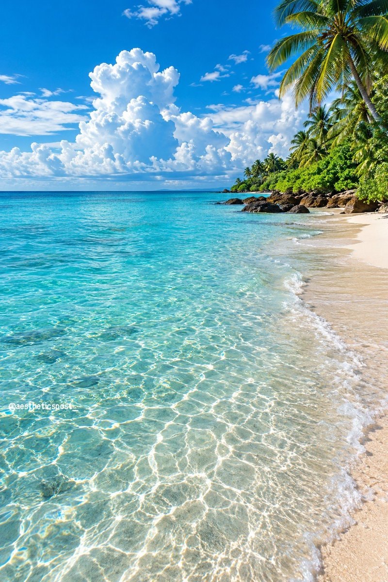 Tropical beach scene