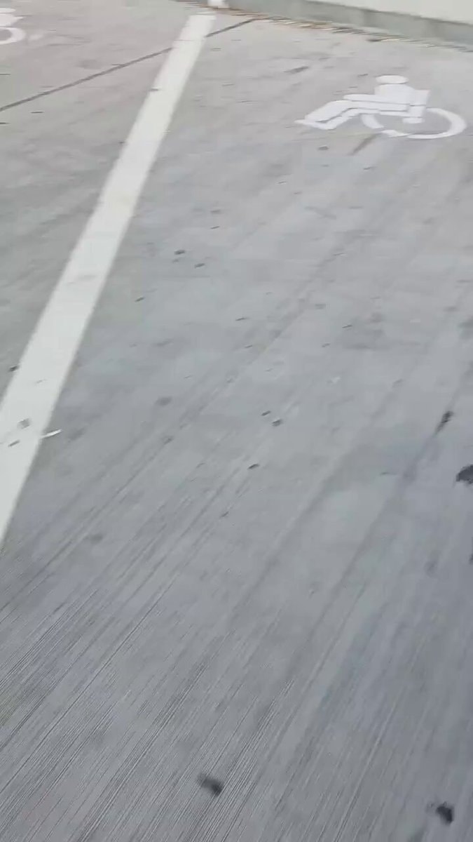 Rescued animal happy to be free