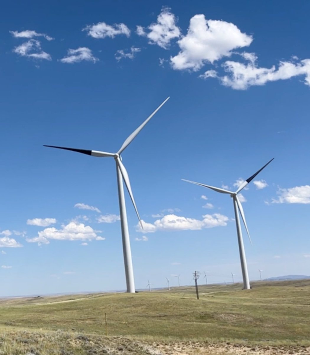 wind turbines with black blades