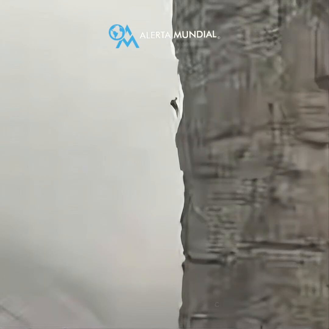 Campanile di Val Montanaia rescue