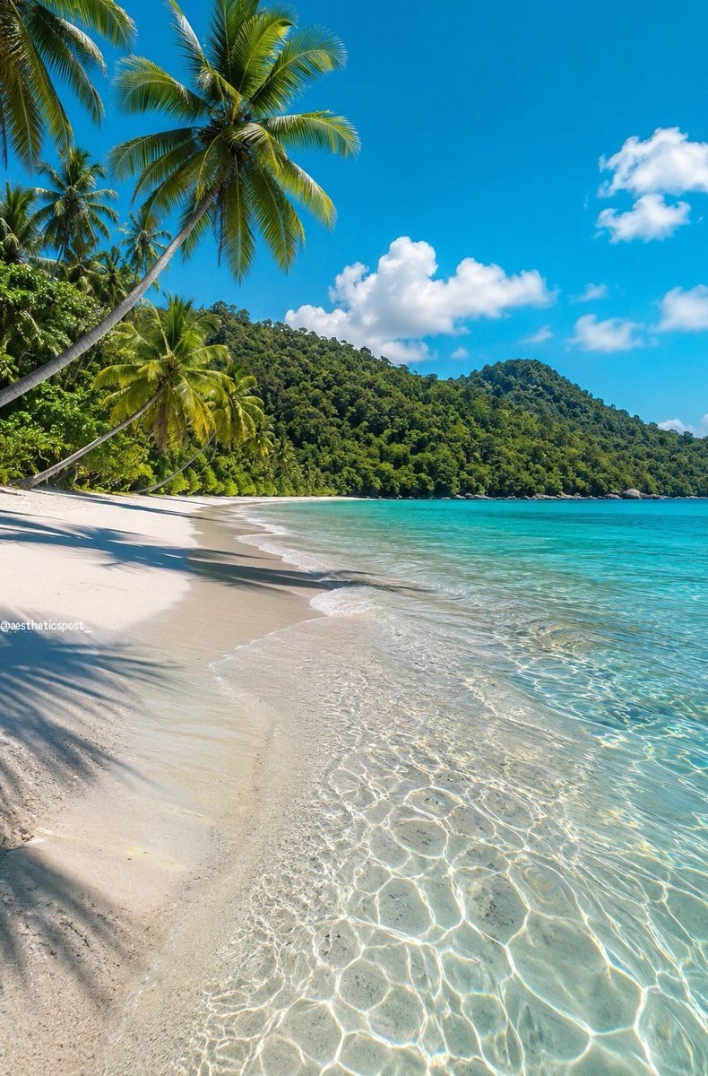 tropical beach escape