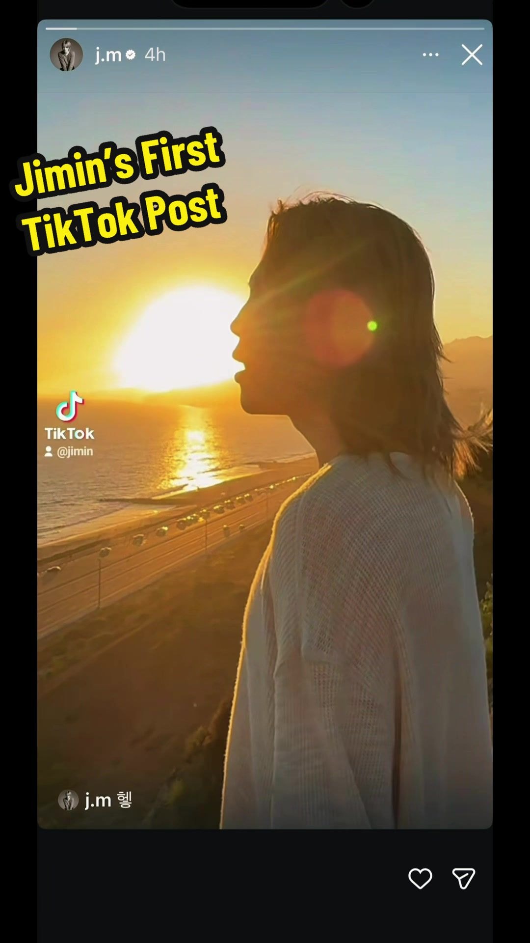 Jimin First TikTok Post