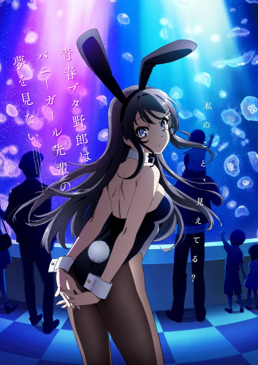 Rascal Does Not Dream Bunny Girl