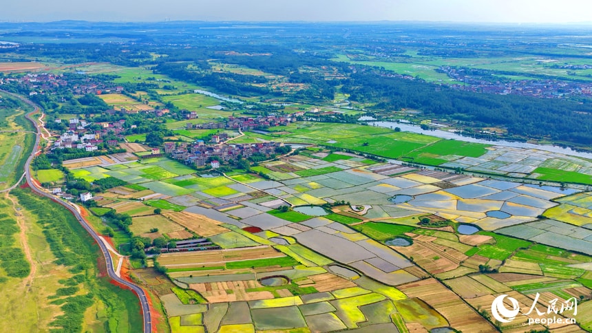 Mubu Village Jiangxi rice fields (photo 3 of 4)