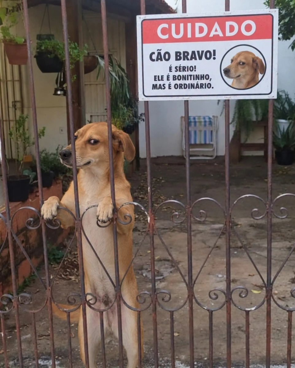 Dog at gate license plate joke