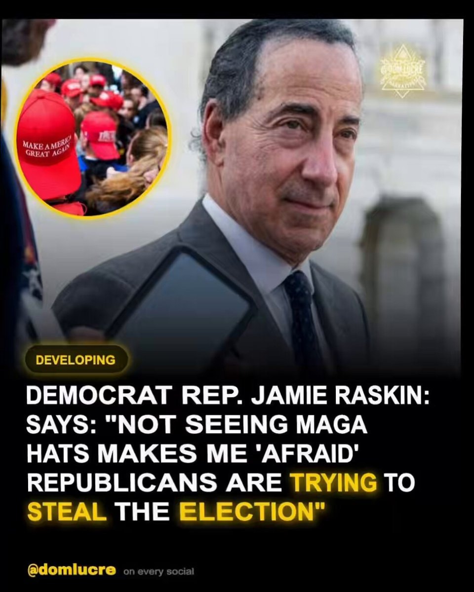 Jamie Raskin MAGA hats election comment