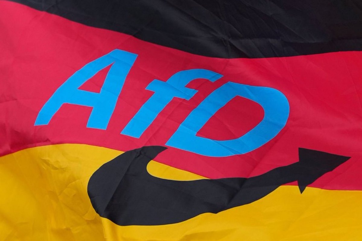 AfD flag victory Germany