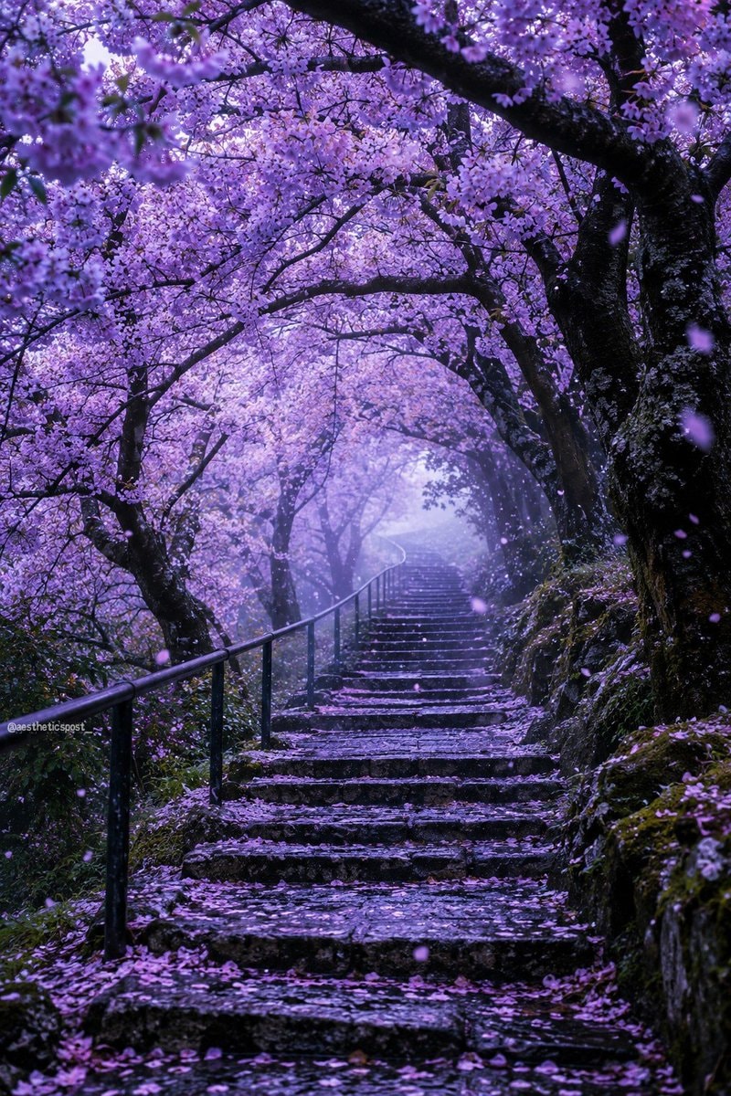 purple blossom staircase