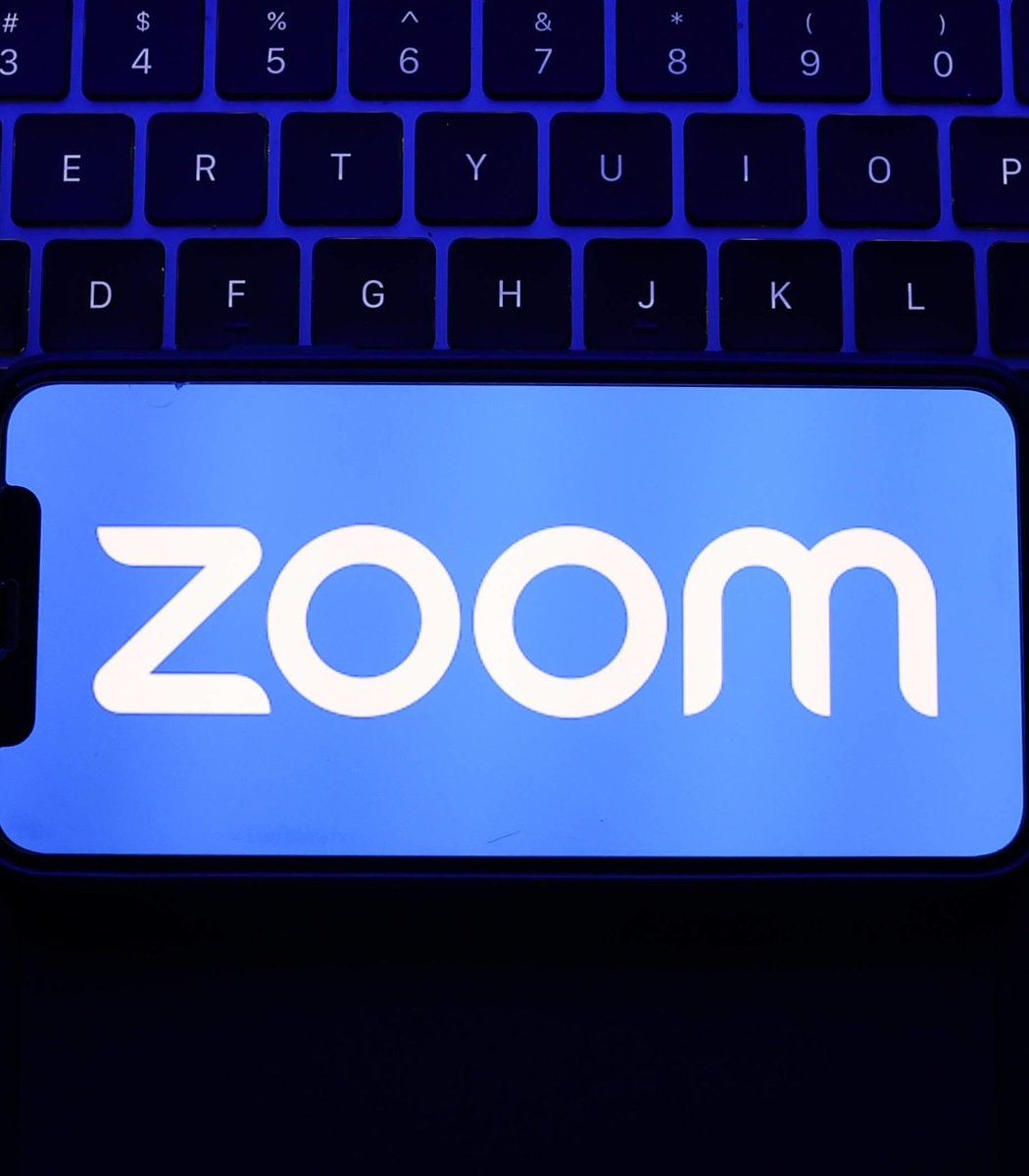 Jeff E. Epstein Zoom board appointment (photo 2 of 2)