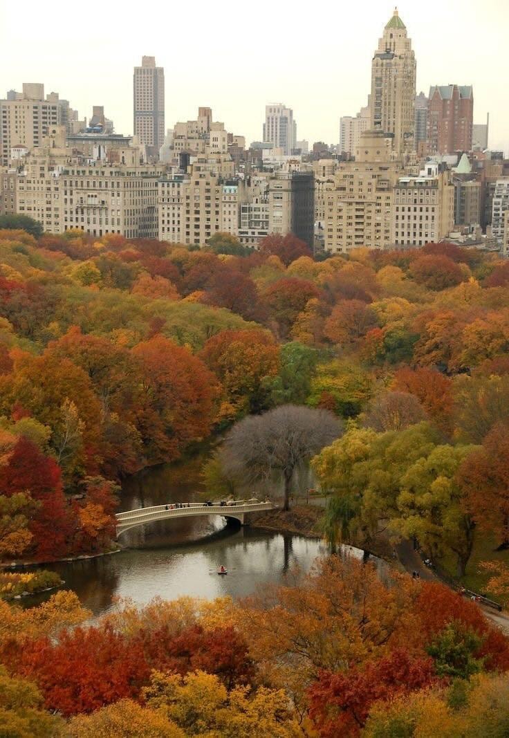 Autumn vibes (photo 2 of 4)
