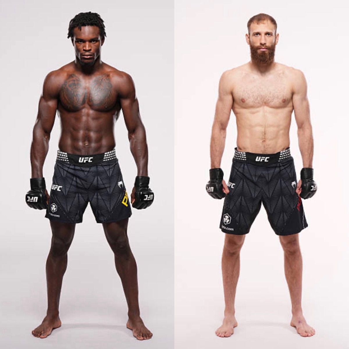 Damian Pinas vs Andrey Pulyaev UFC332