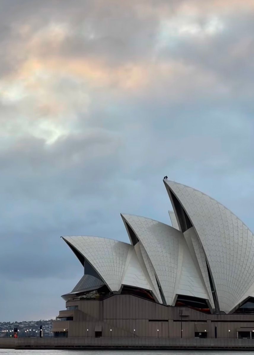 Batman Sydney Opera House Batman Day (photo 2 of 2)