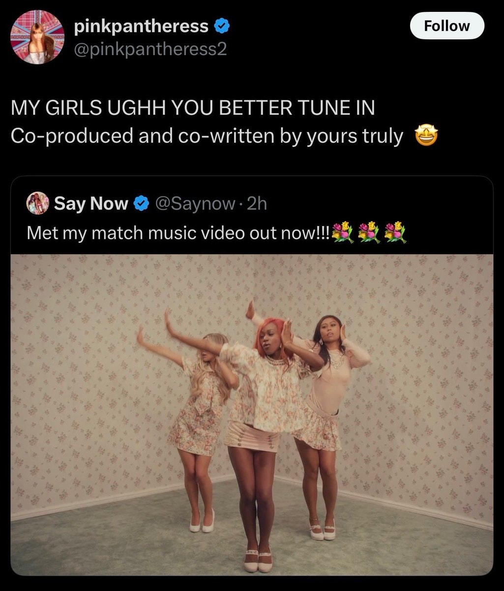 Pinkpantheress supports Say Now (photo 2 of 2)