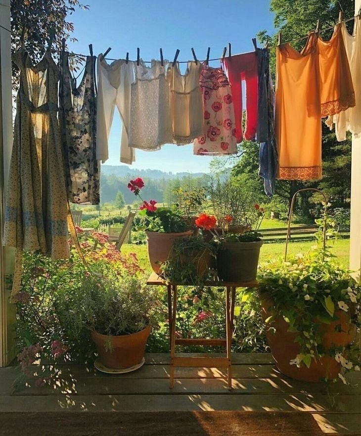 Cozy cottage garden (photo 4 of 4)