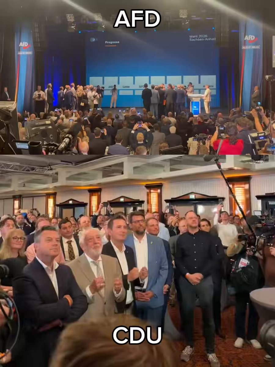AFD Prognose Wahl 2026 Sachsen-Anhalt