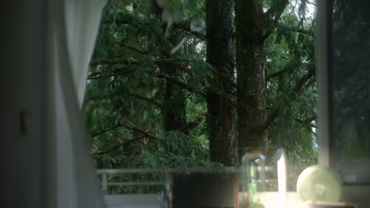serene forest view from balcony