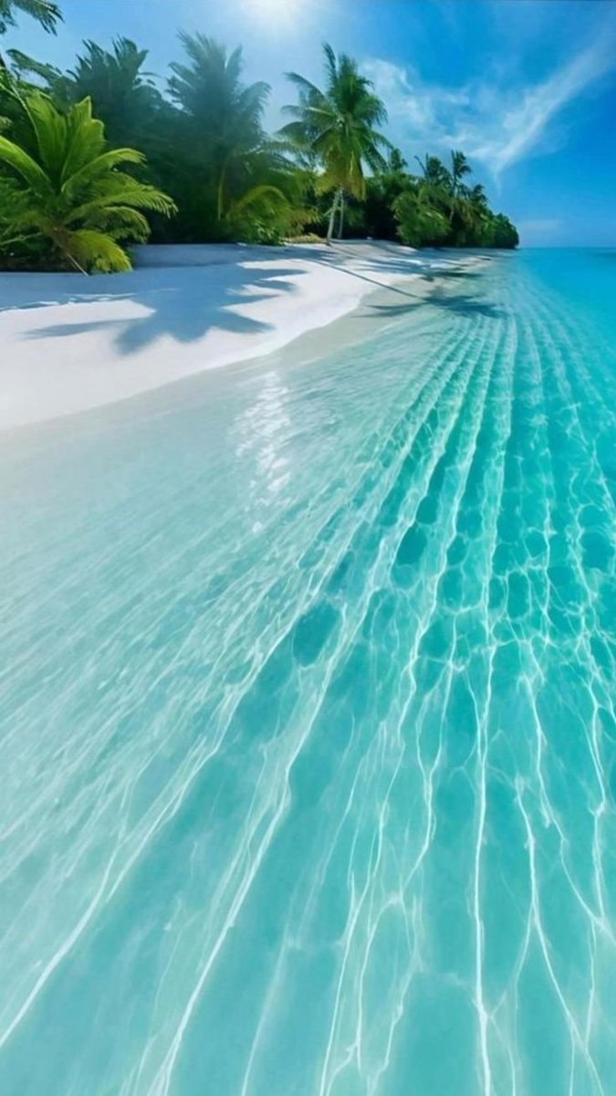 Maldives beach scene Maldives beach scene