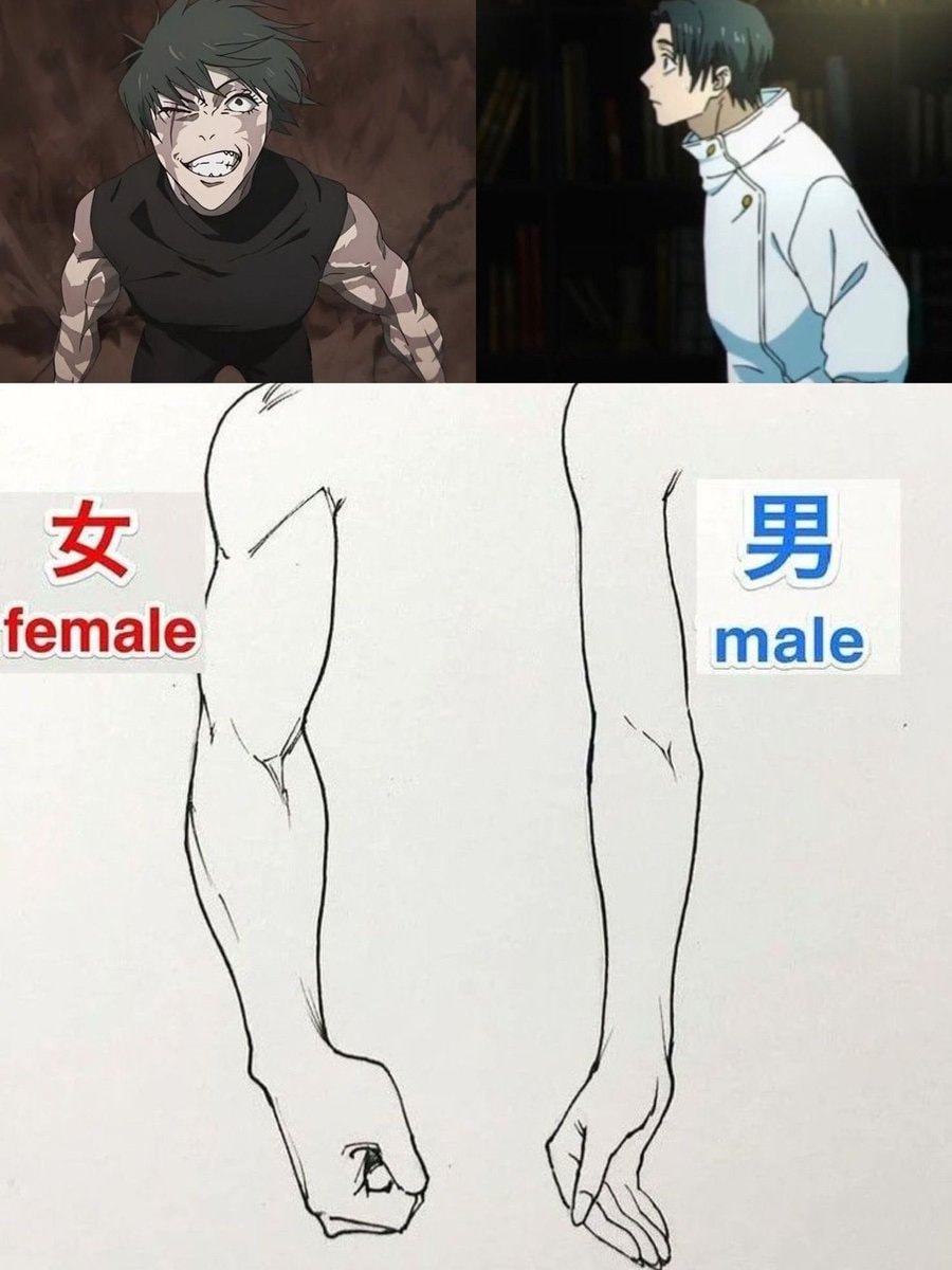 anime arm anatomy meme
