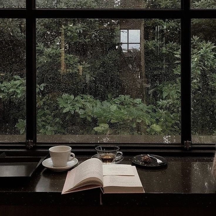 cozy rainy day with book and coffee (photo 1 of 4)