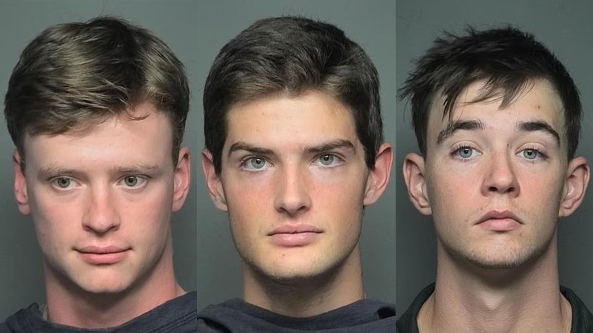 South Carolina Flock camera arrest