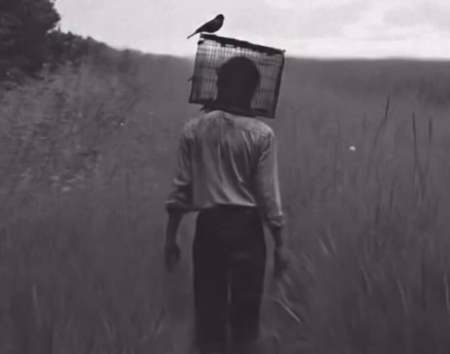 Bird on head metaphor Bird on head metaphor