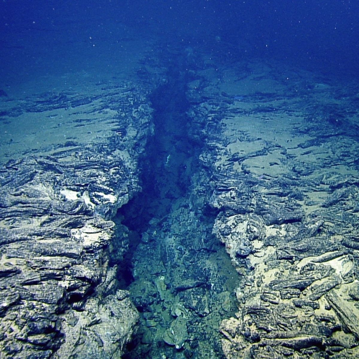 Pacific Northwest subduction zone split