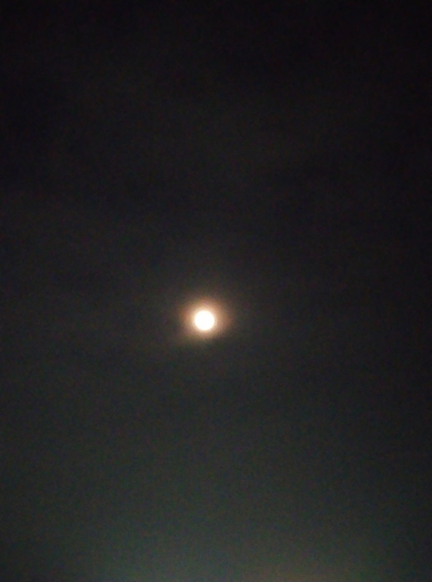 Luna ai edit raw image (photo 2 of 2)