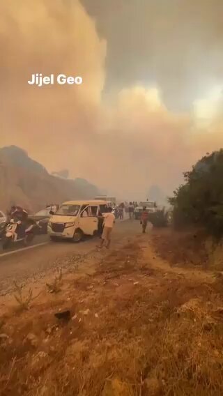 Northern Algeria forest fires