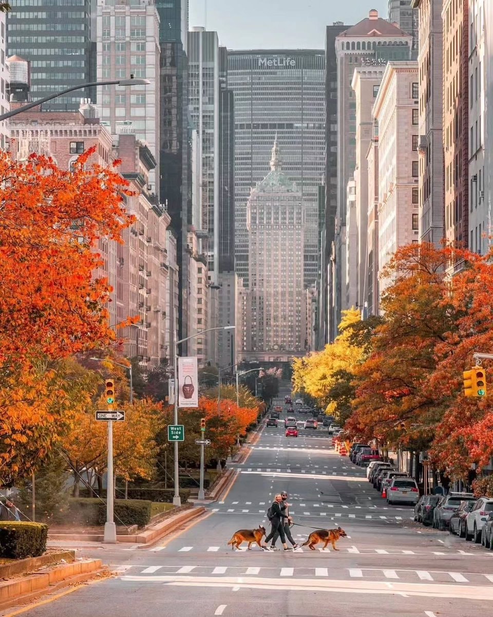 Manhattan autumn in New York City (photo 4 of 4)