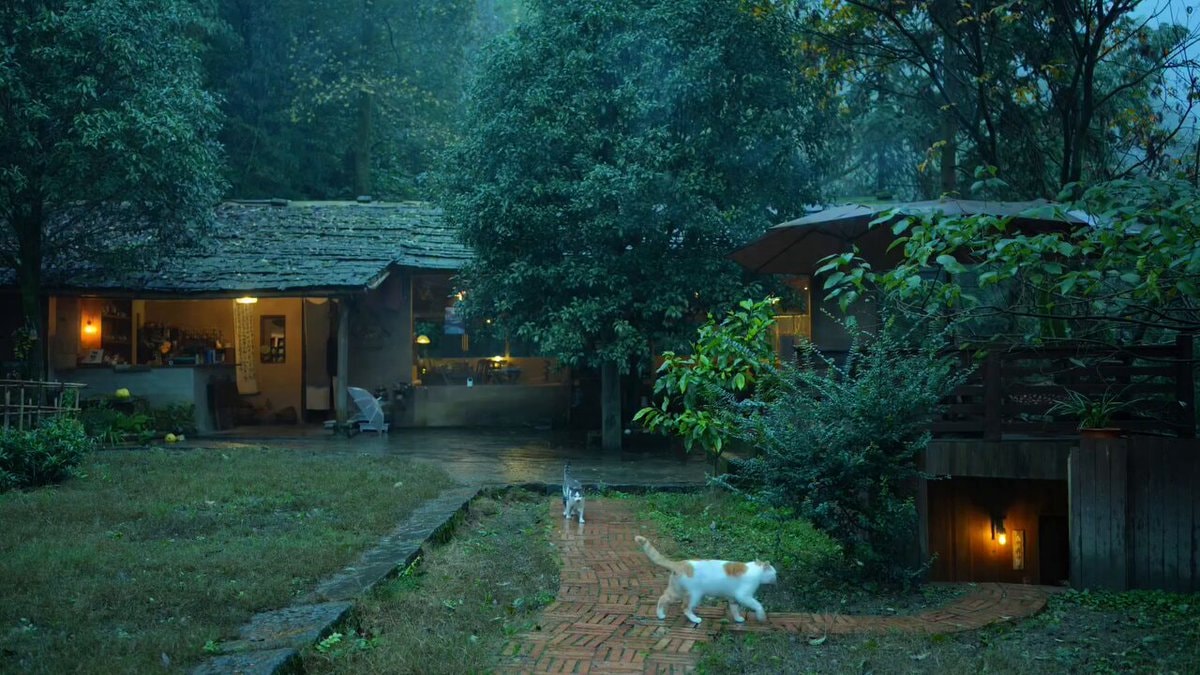 White cat at rustic house dusk