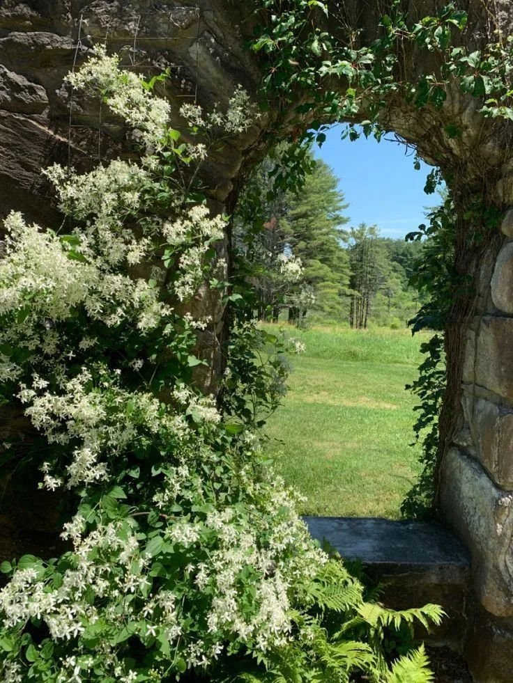 peaceful nature scene with bench (photo 3 of 3)