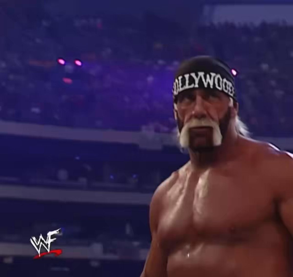 Hulk Hogan wrestling edit