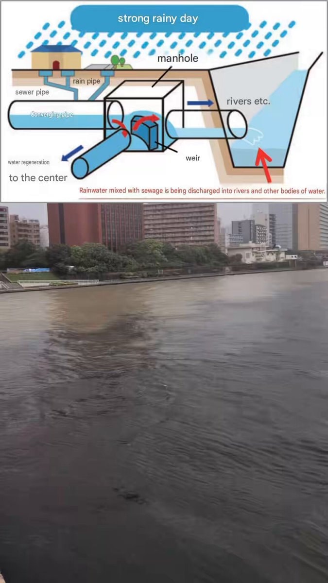 Tokyo sewage river overflow