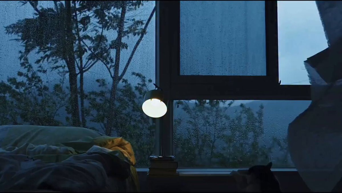 Cozy rainy day with cat