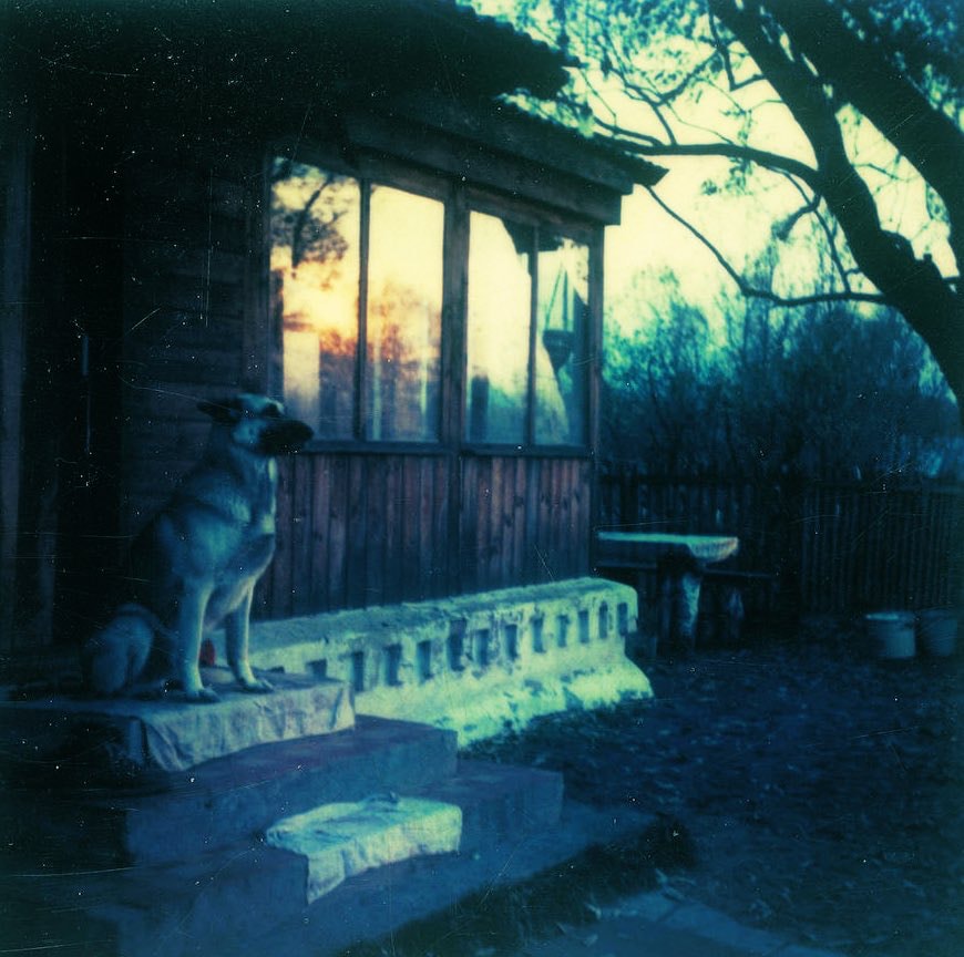 Andrei Tarkovsky Polaroids