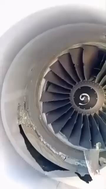 Ryanair 737 damaged engine