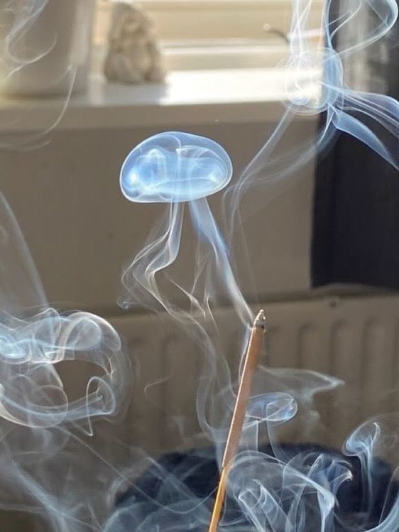 Smoke like a jellyfish (photo 2 of 2)