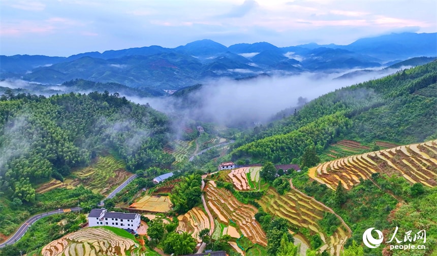 Shangbao Terraced Fields Jiangxi summer (photo 2 of 4)