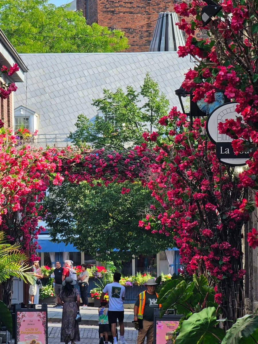 Montréal Québec street scene