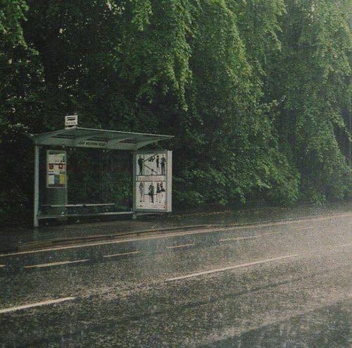 rain smell aesthetic (photo 4 of 4)