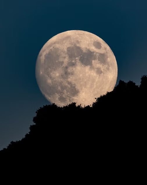 President Trump Moon declaration (photo 2 of 2)