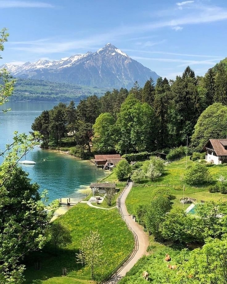 Switzerland village turquoise lake mountains (photo 4 of 4) Switzerland village turquoise lake mountains (photo 4 of 4)