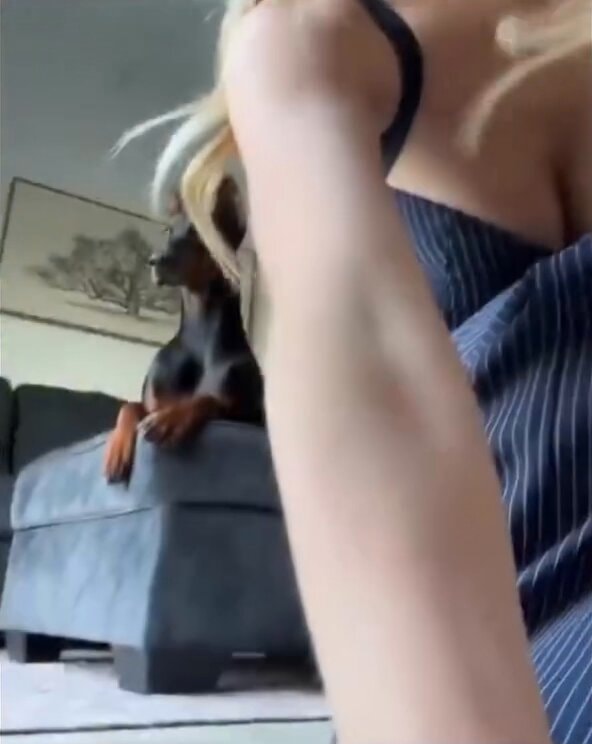 Dog refuses help