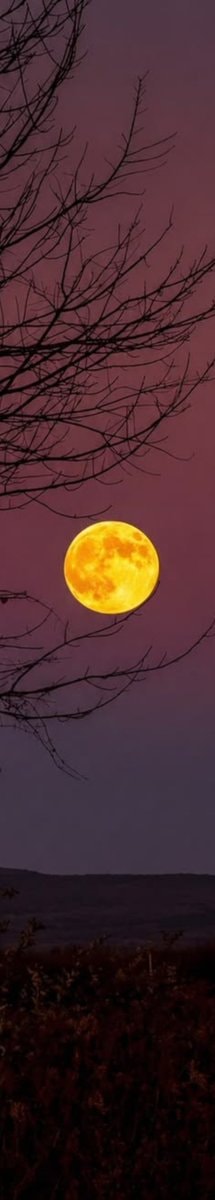 crescent moon (photo 4 of 4)