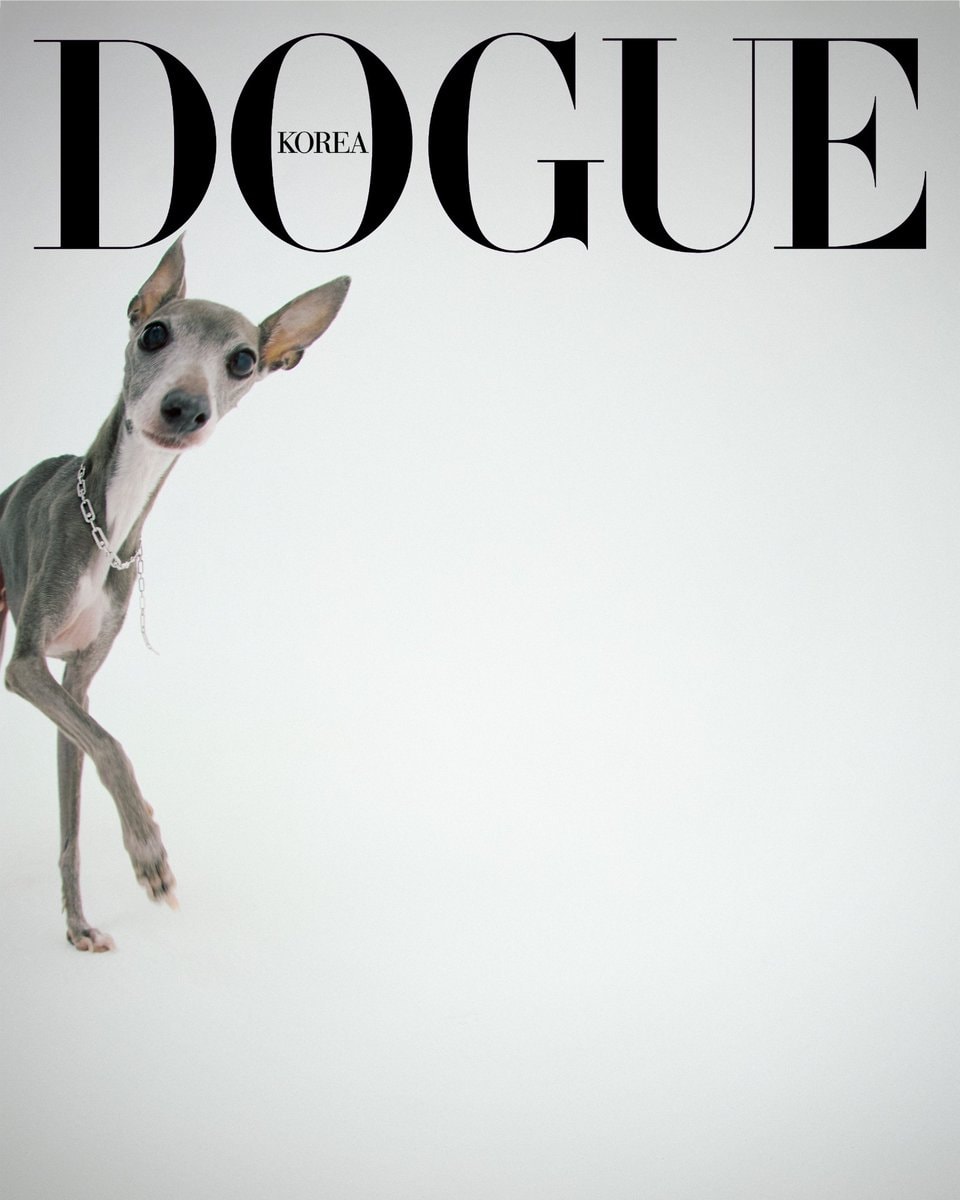 Cooper aespa DOGUE Korea cover (photo 1 of 2)