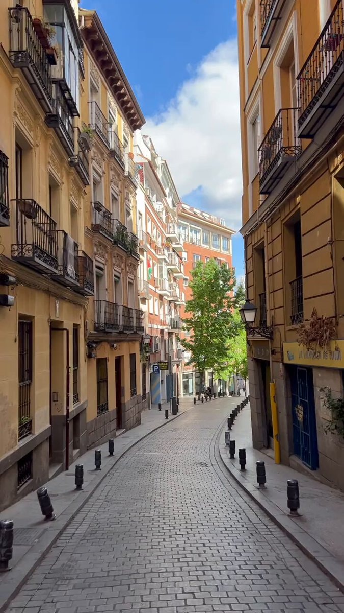 colorful cobblestone street
