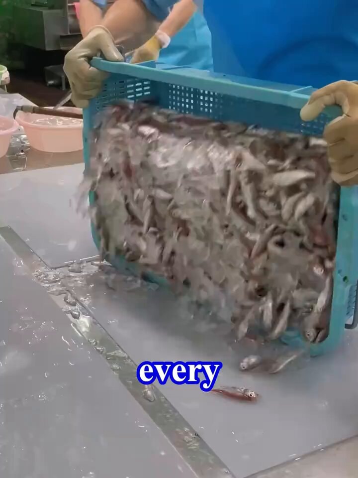 small fish food production Japan