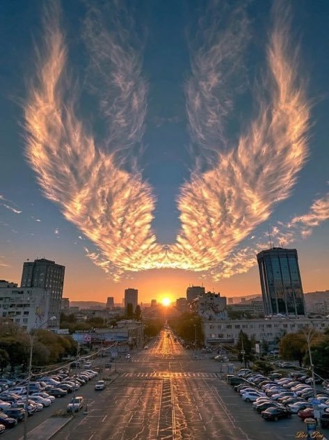Angel wing clouds over city at sunset