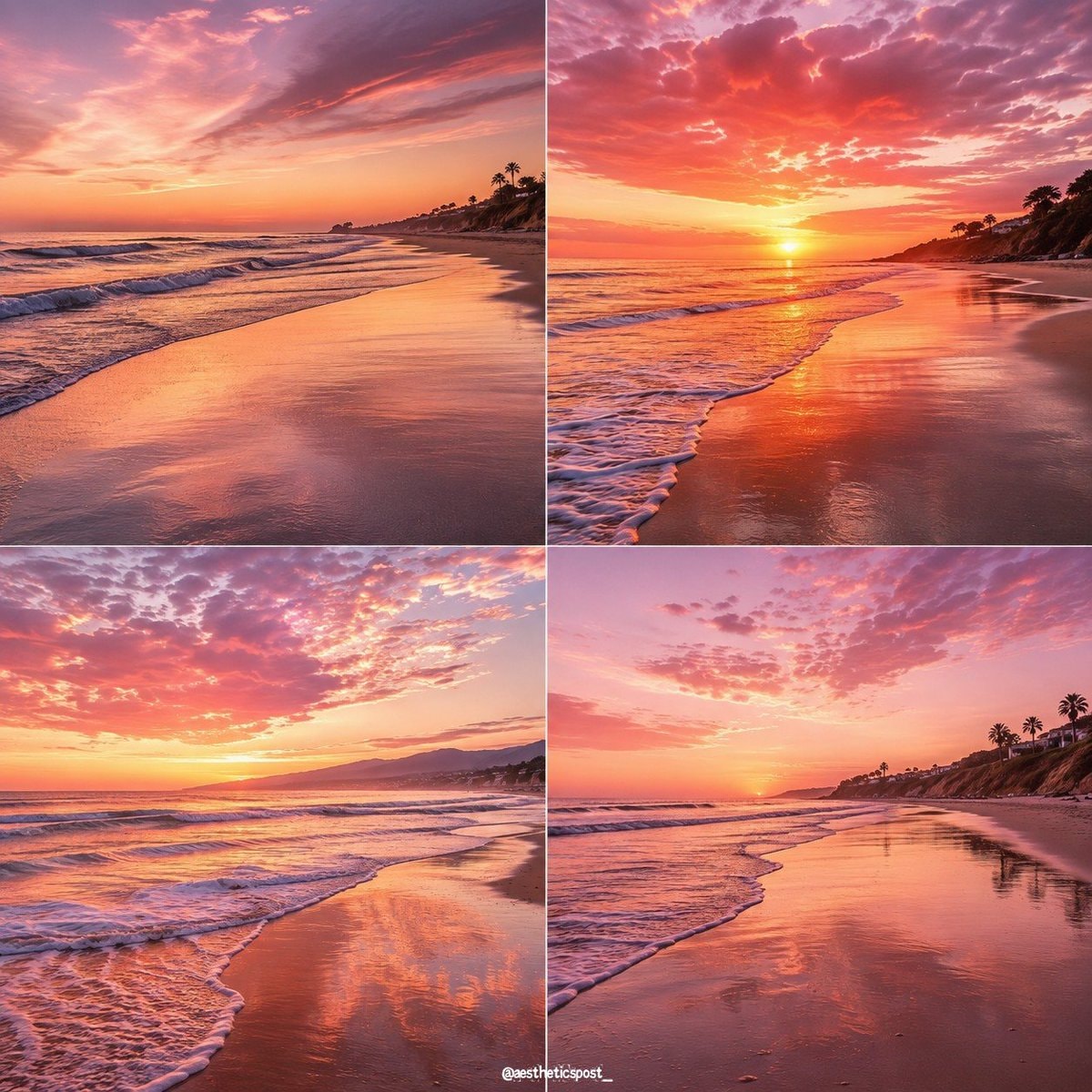 scenic beach sunsets with palm trees