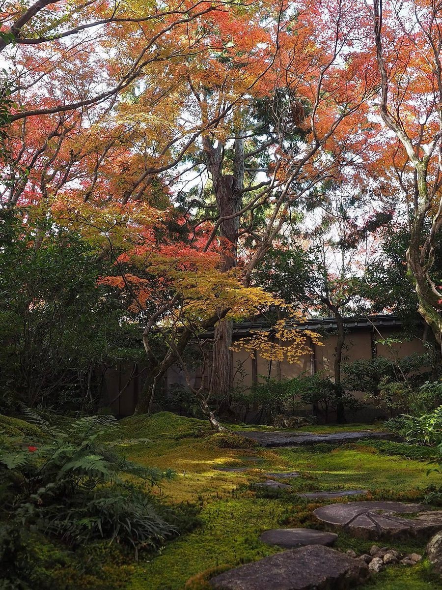 Korin-in Temple Japan (photo 3 of 3)